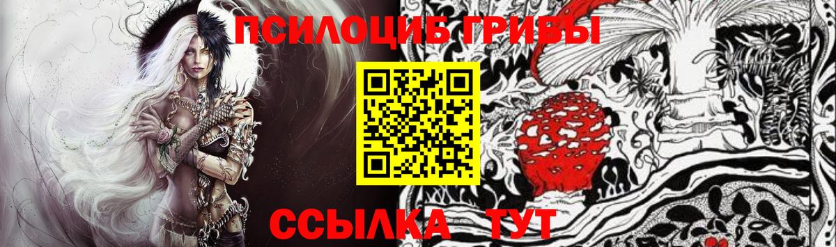 Псилоцибиновые грибы Cubensis  Тобольск  Галлюциногенные грибы Magic Shrooms 