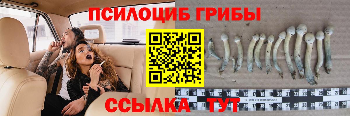 Галлюциногенные грибы прущие грибы  Вход с VPN  Тобольск 