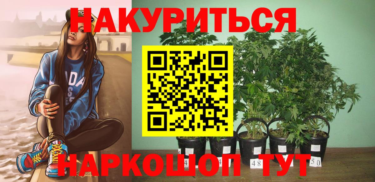 МАРИХУАНА ГИДРОПОН Тобольск